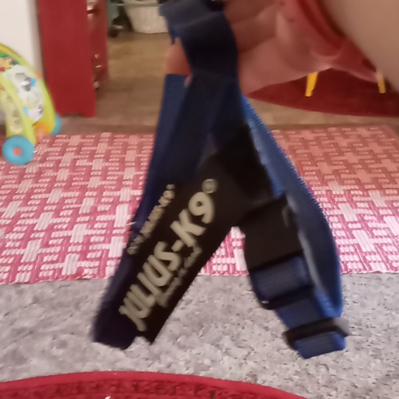 Julius k-9 dog harness - Picture 1 of 4